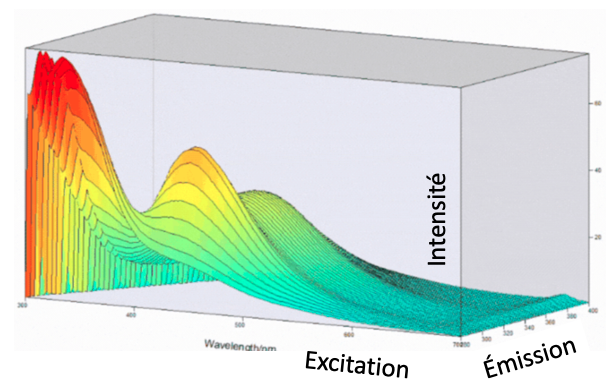 EEM - représentation 3D de la fluorescence
